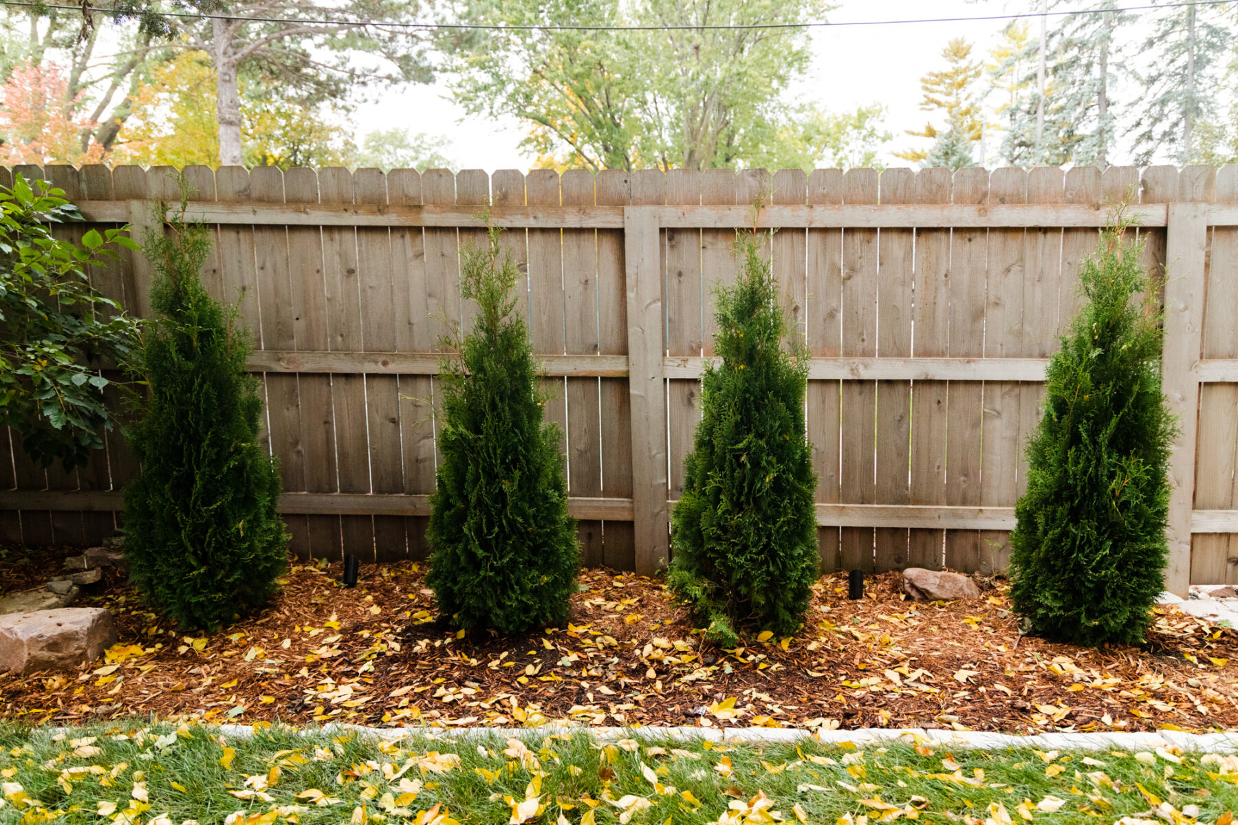 backyard landscaping trees in Sioux Falls