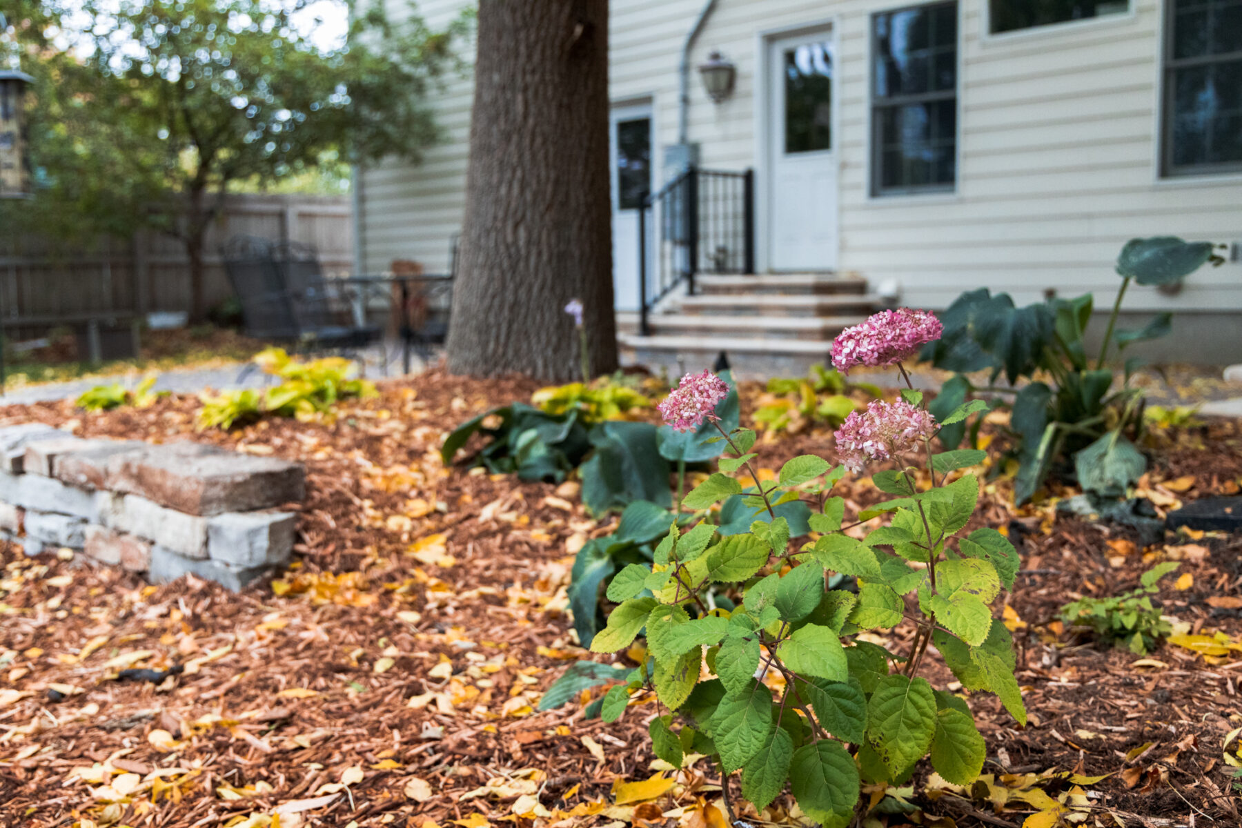 Flower beds in the fall