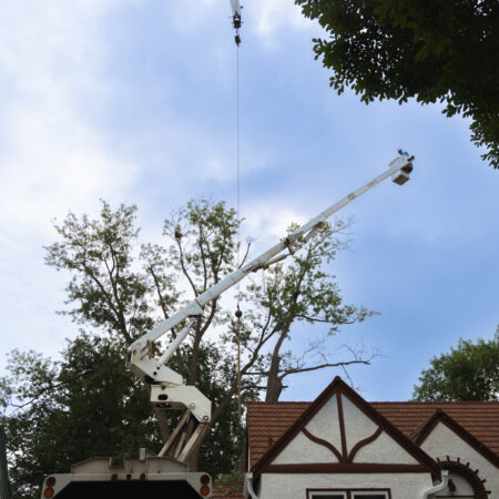 boom truck tree removal in sioux falls
