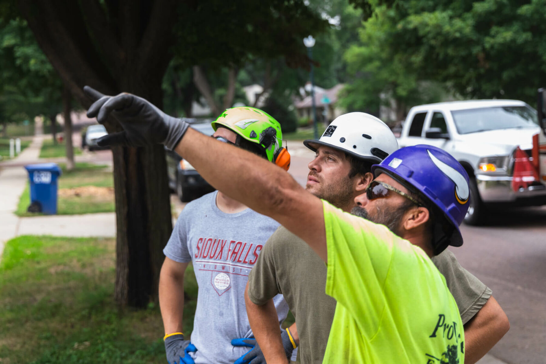 sioux falls tree removal team wearing hard hats