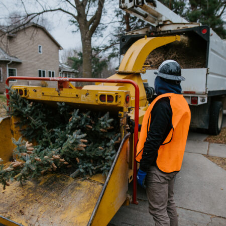 large evergreen tree grinding in sioux falls