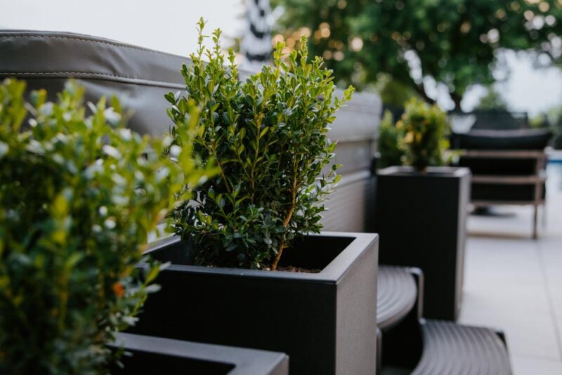 Raised planters with trees, Weller Brothers Landscaping