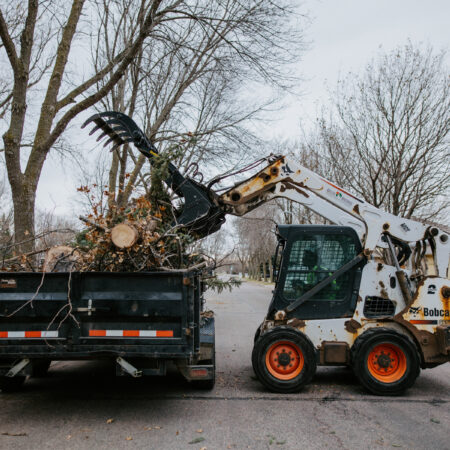 skid loader removing large tree branches in sioux falls