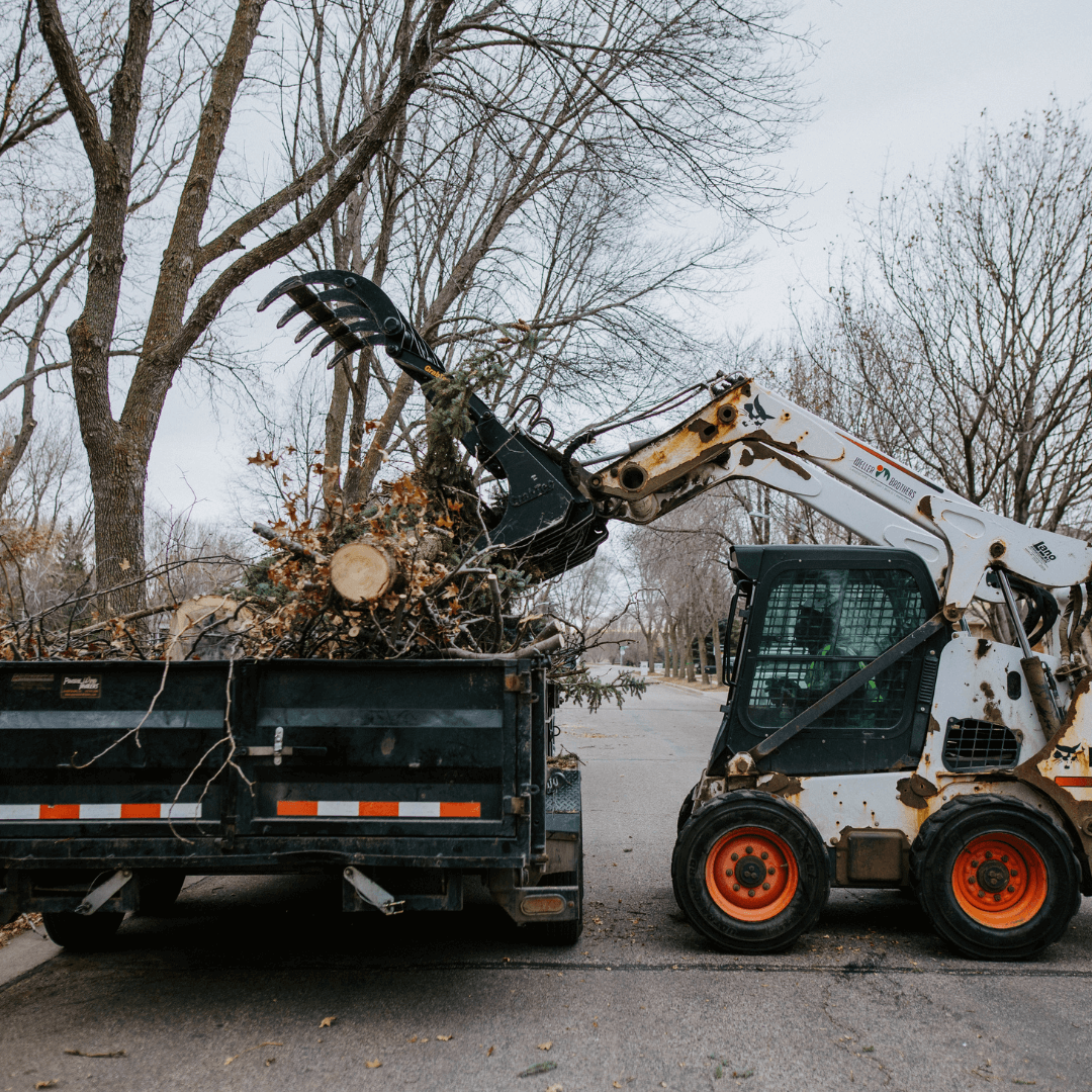 Tree removal services in Sioux Falls
