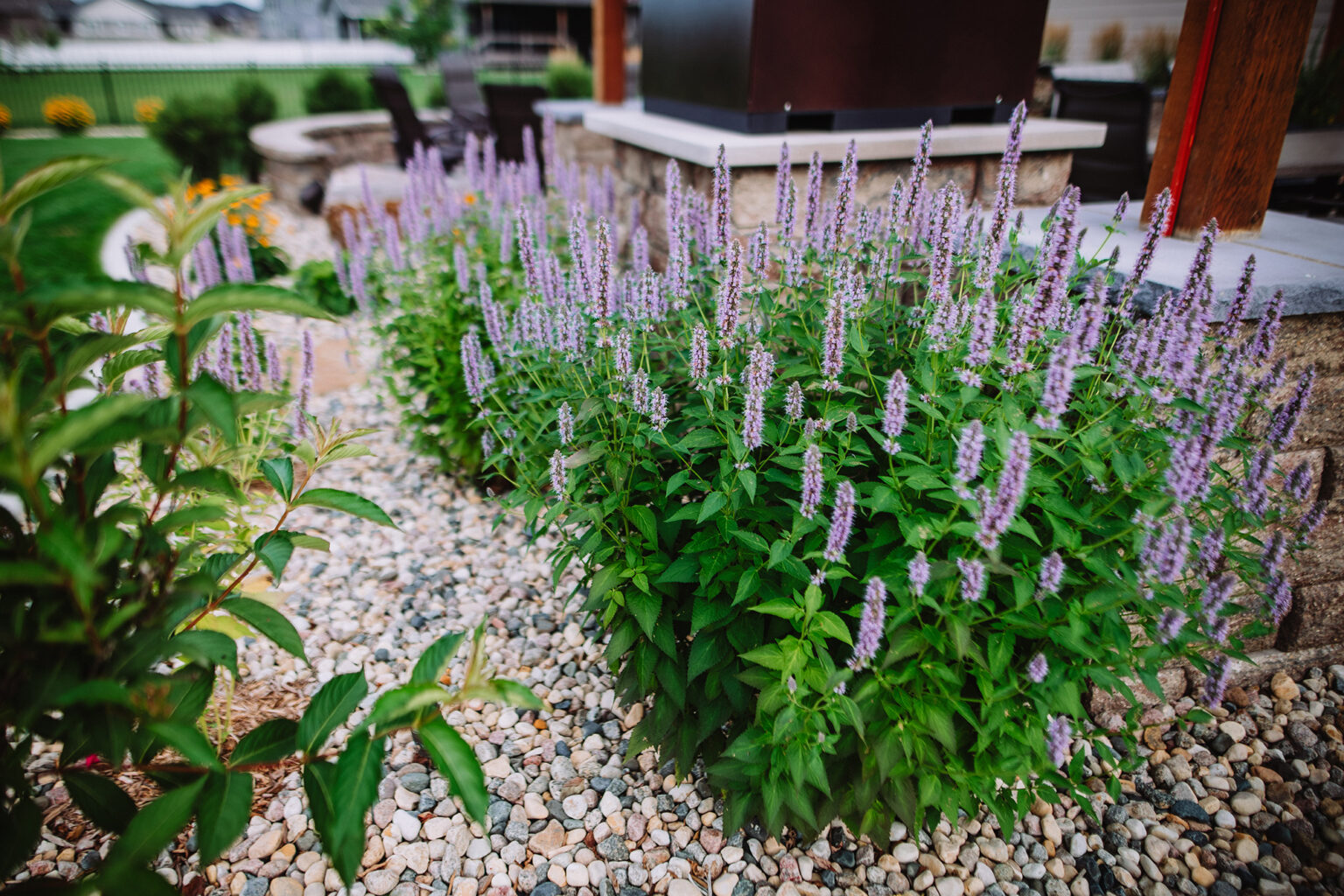 flower beds in Sioux Falls