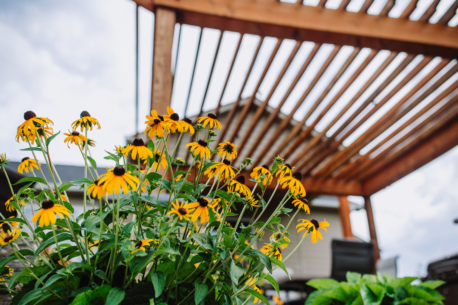 pergola with flower bed