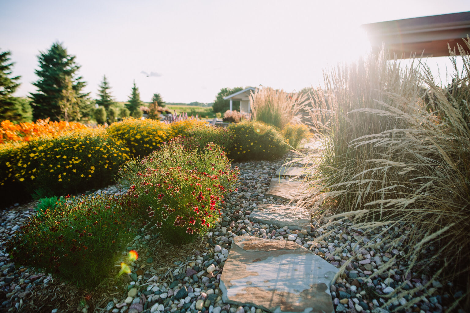 perennials and shrubs