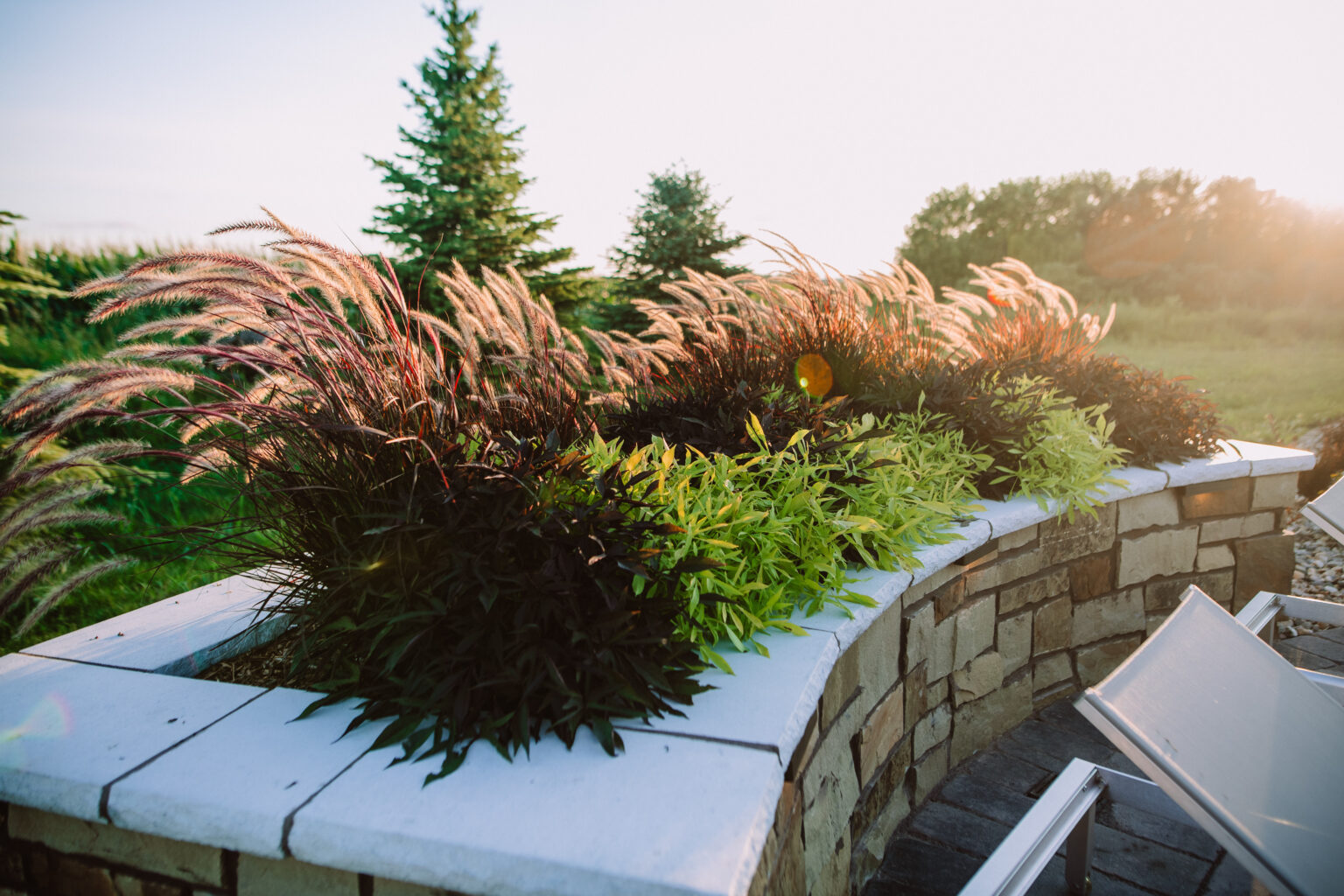 natural grasses in backyard landscaping project