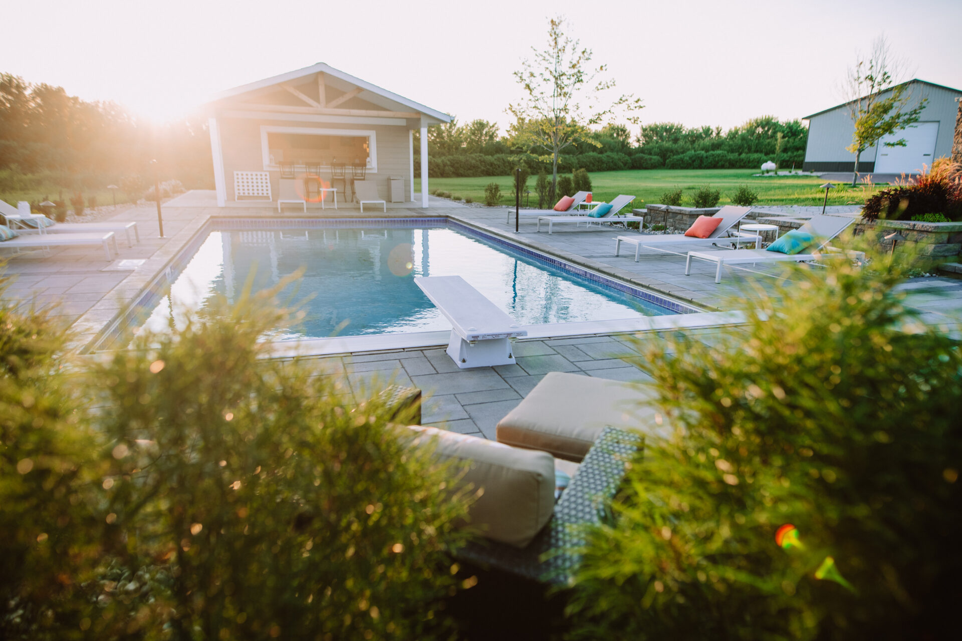 backyard pool surrounded by shrubs