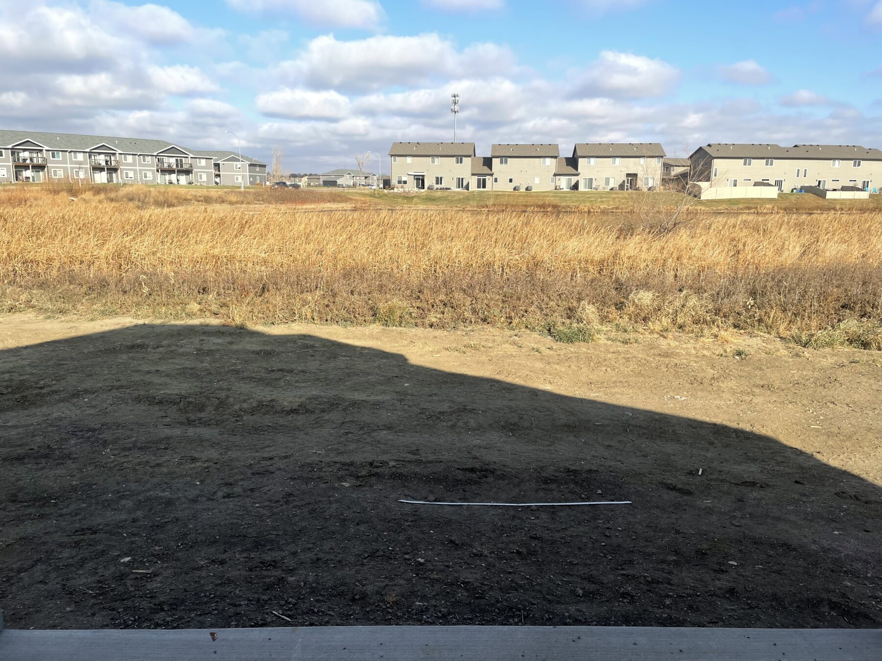 backyard view of brown grass