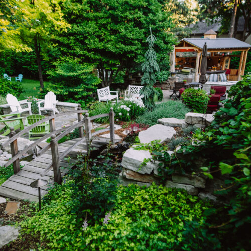 backyard bridge and vegetation