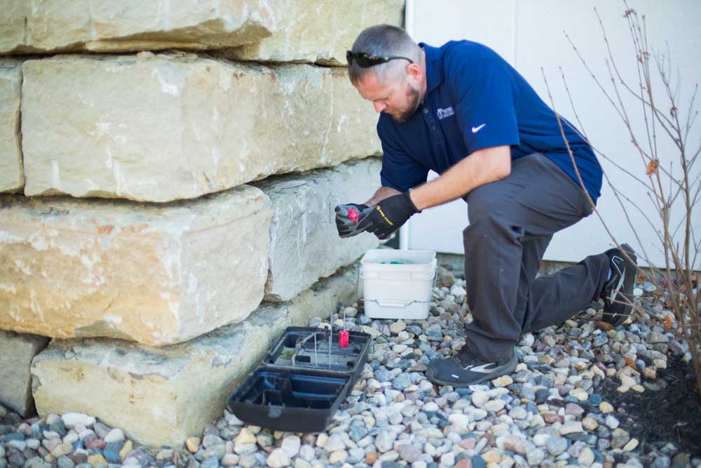 Ryan Myott setting Vole traps in Sioux Falls, SD