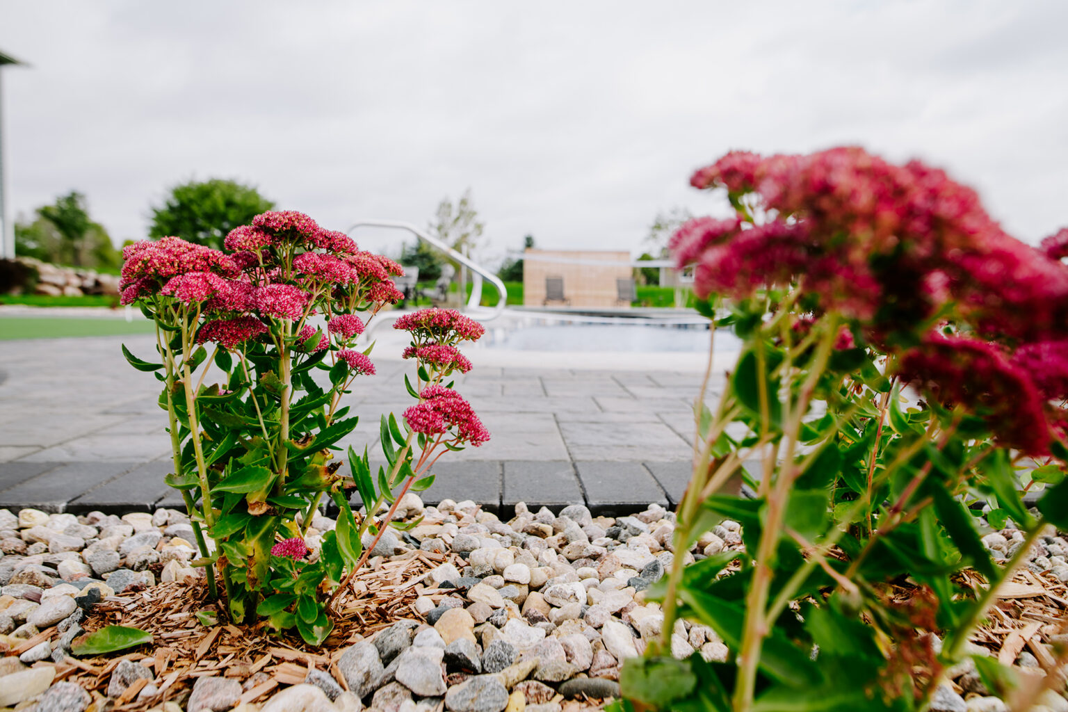 custom flower beds in South Dakota