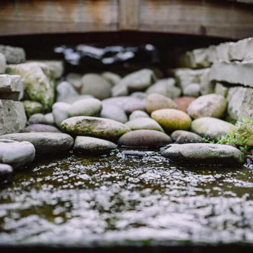 backyard water feature in South Dakota