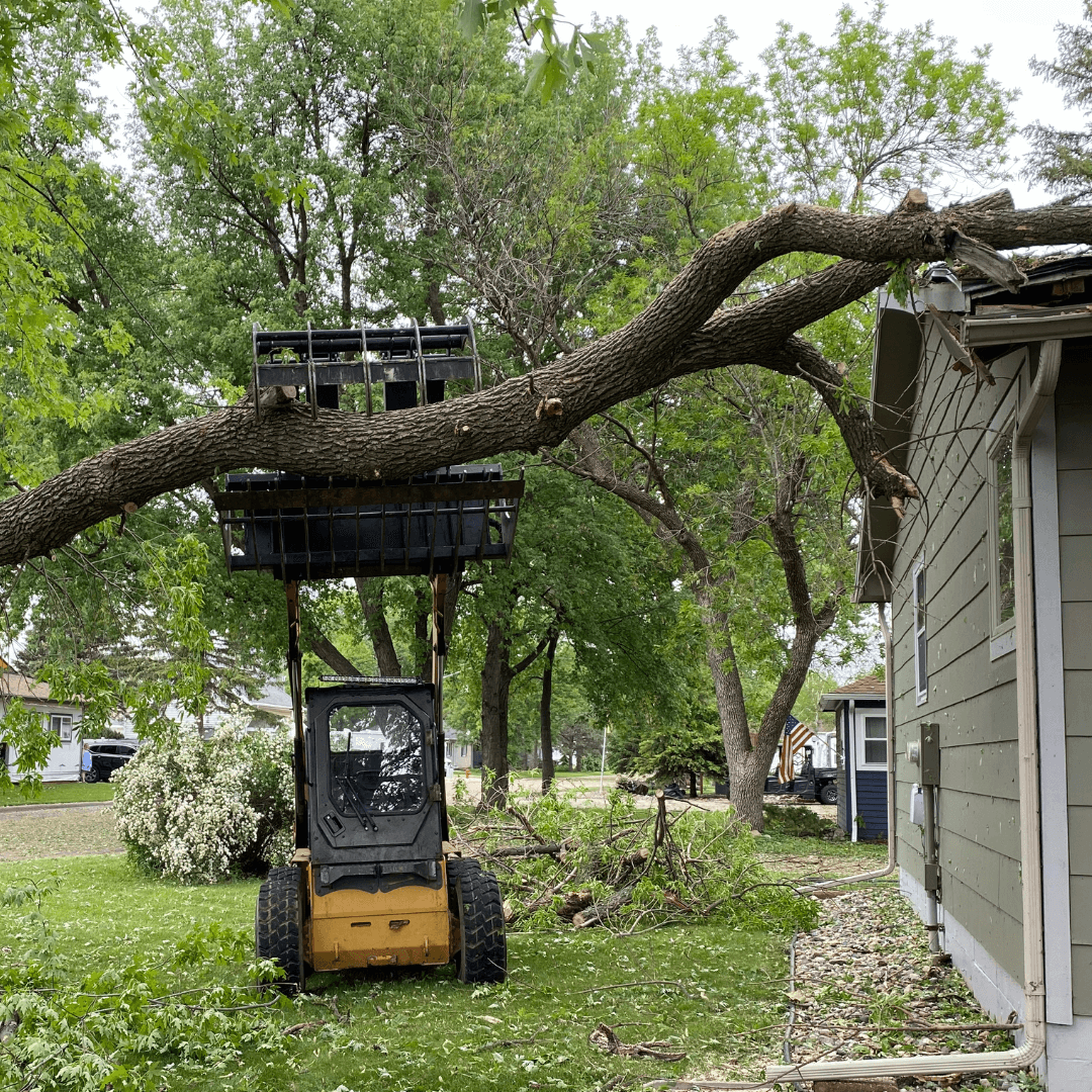 removing a fallen tree from a roof