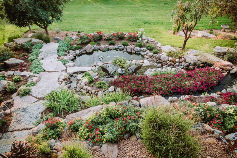 renovated backyard pond