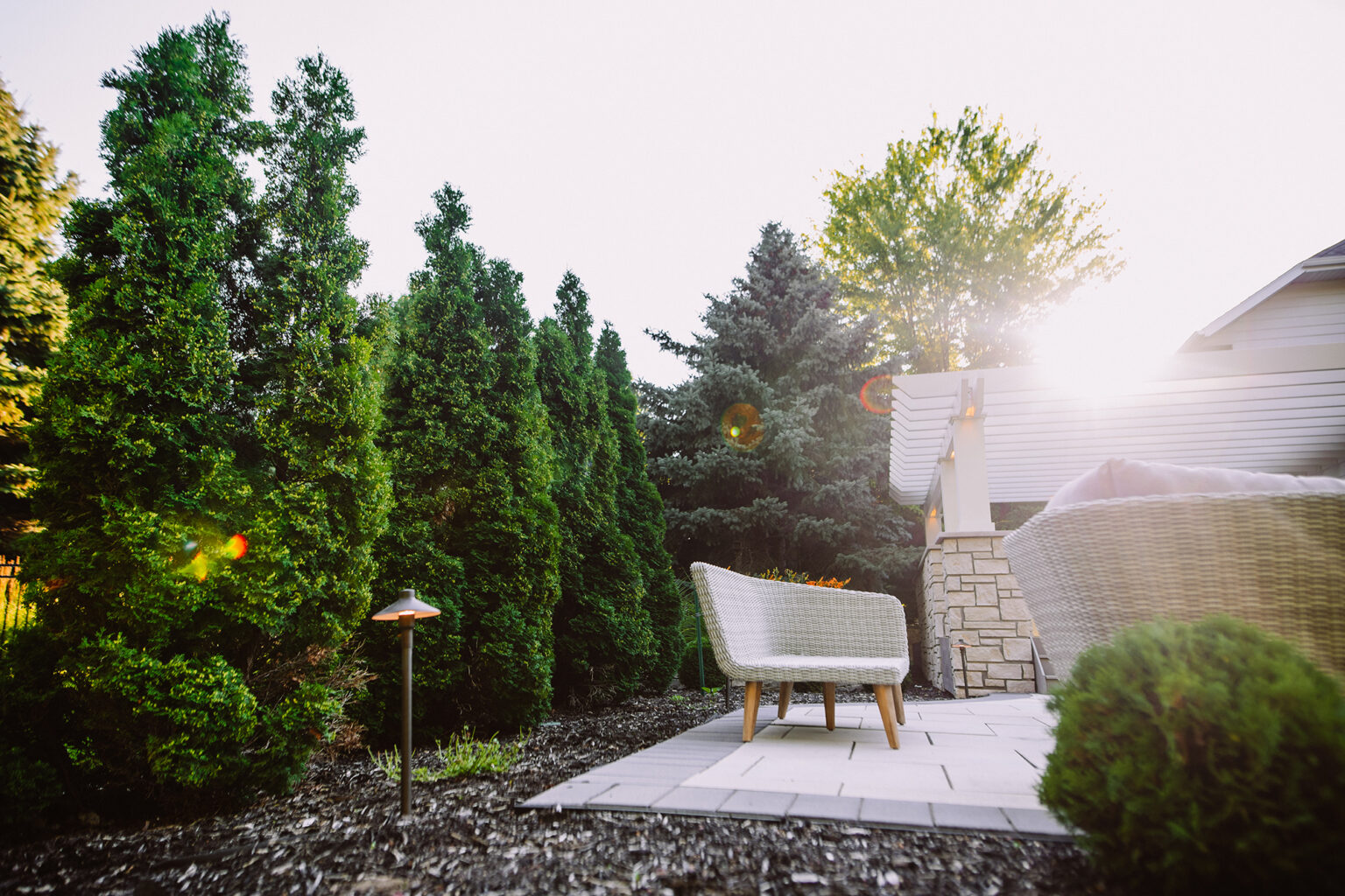 sunny backyard landscaping
