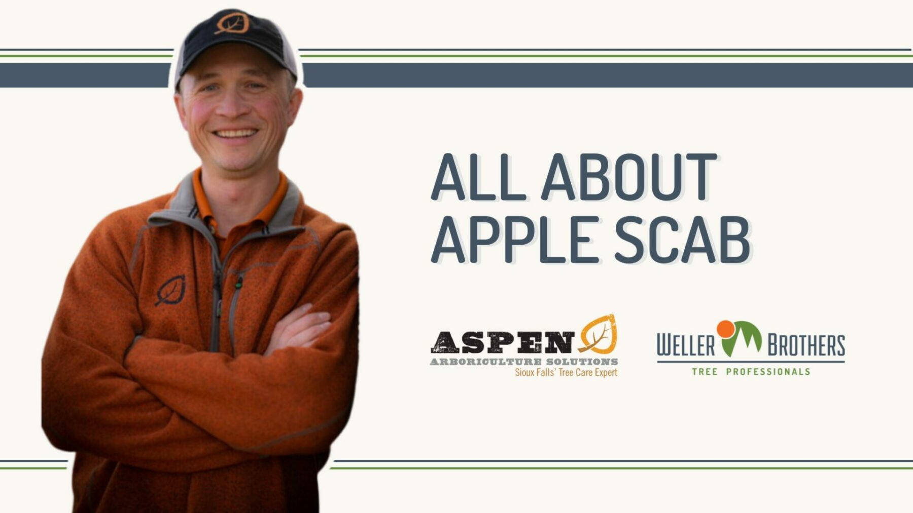 All About Apple Scab on Tree Talk with Sam Kezar Board Certified Mater Arborist