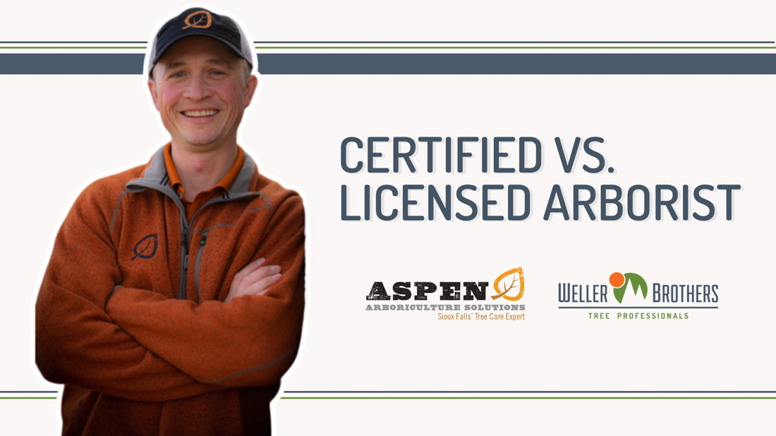 TREE TALK WITH SAM - Licensed vs. Certified Arborist in Sioux Falls, SD