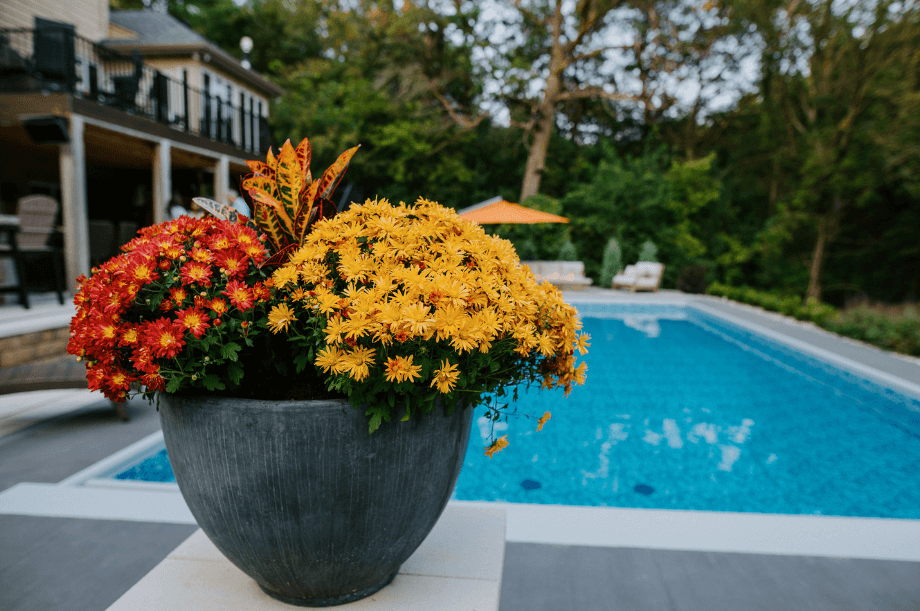 flower planter in front of backyard pool