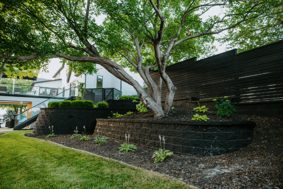 mulch bed and plants in front of a black retaining wall
