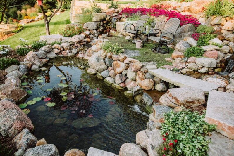 backyard pond in South Dakota and Rochester MN