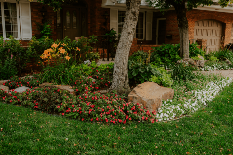 Flowers and shrubs in front yard
