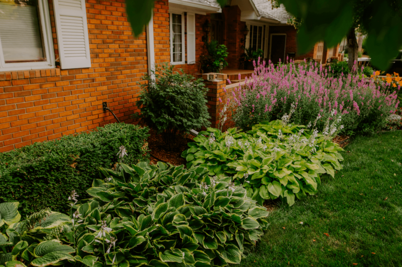 Landscape bed