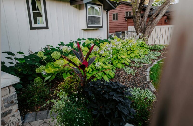 Greenery at front of home, Weller Brothers Landscaping