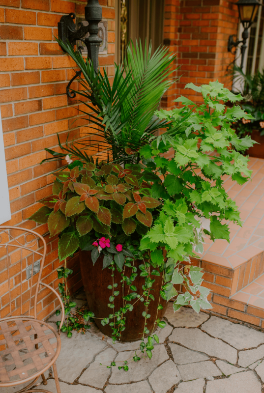 Seasonal flower pot at home