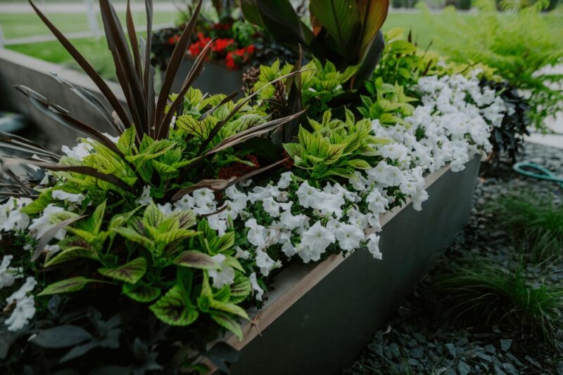 Raised planter with floral, Weller Brothers Landscaping