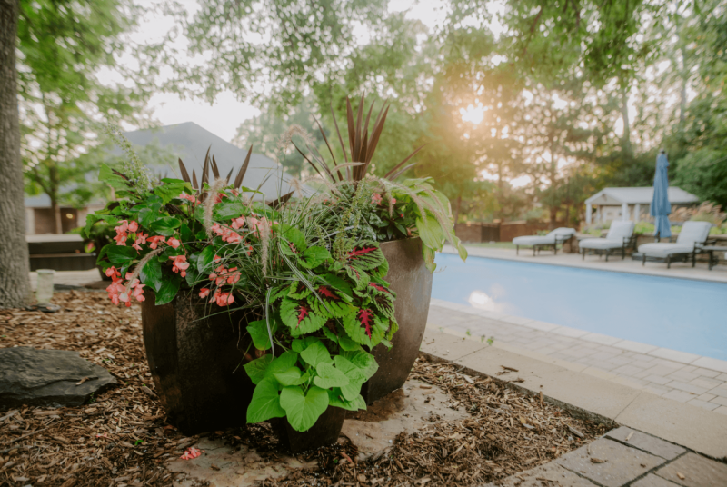 Seasonal flower pot in front of backyard pool