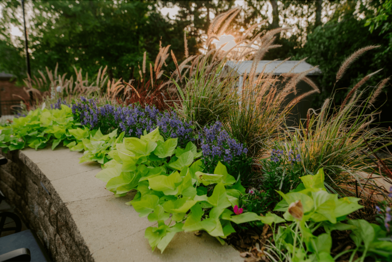 Raised garden beds in Sioux Falls and Rochester