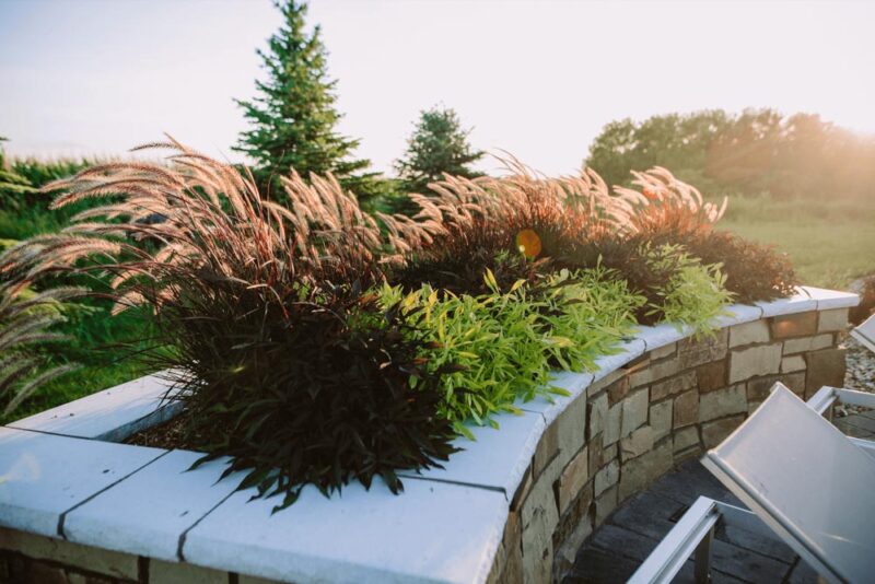 Native plants in a raised planter, Weller Brothers Landscaping