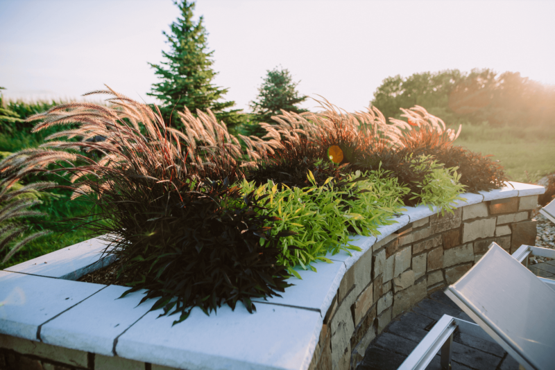 Raised planters in backyard