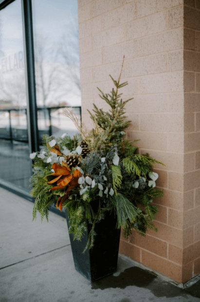 Decorative Pots and Raised Planters-6