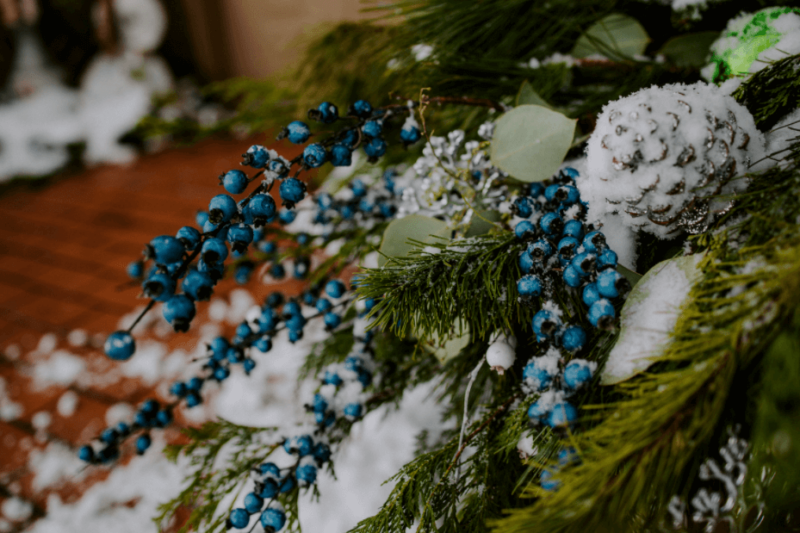 Close-up of winter berries in a seasonal pot