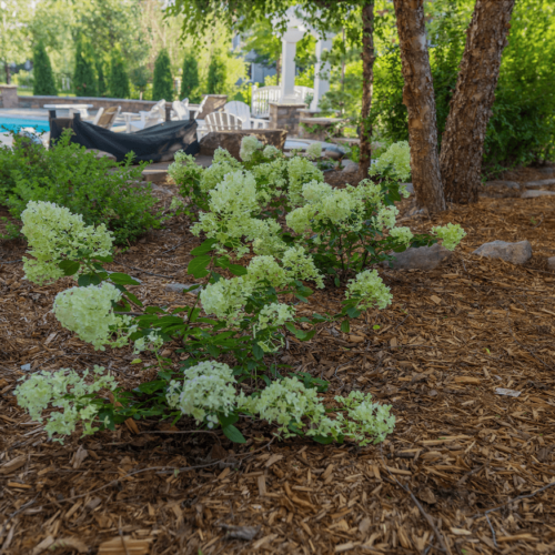 home mulch and gardening