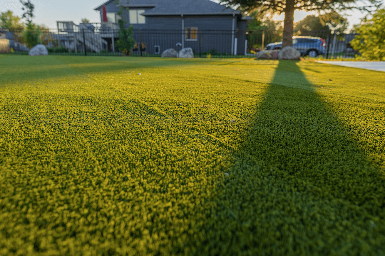 SynLawn artificial turf