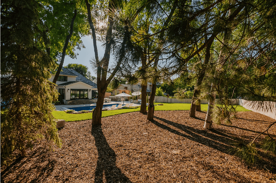 Shady backyard landscaping