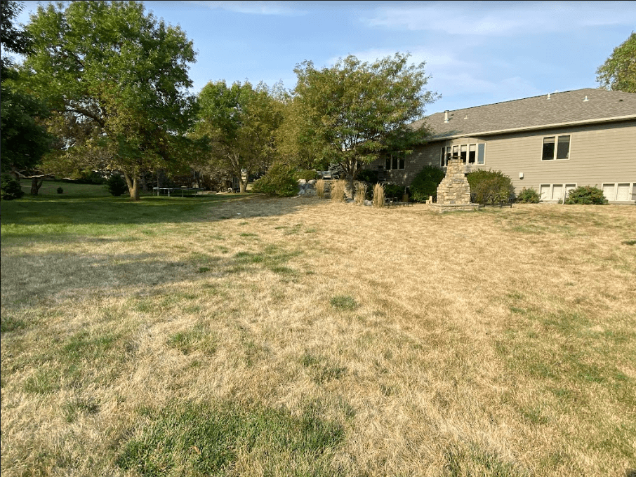 Landscaping "before" in Sioux Falls