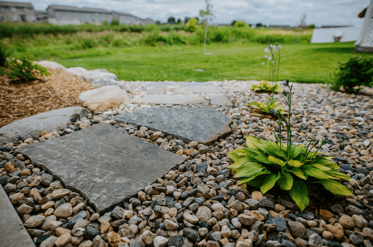 Rock, paver, and plant details