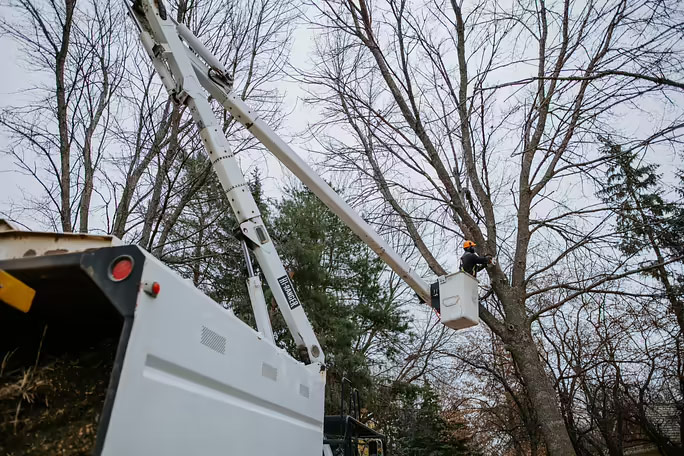 certified arborist in boom truck pruning a Sioux Falls tree